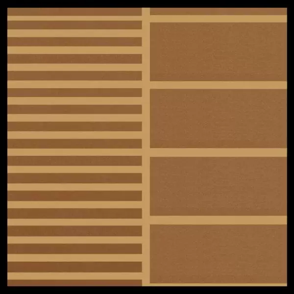 Brown on Camel