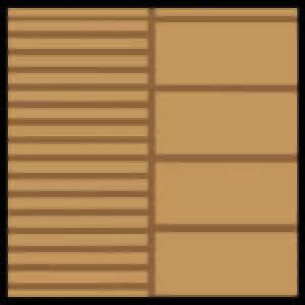 Camel On Brown